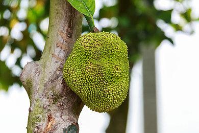 夏日游戏节：VR游戏《穿越火线：塞拉小队》8月发售